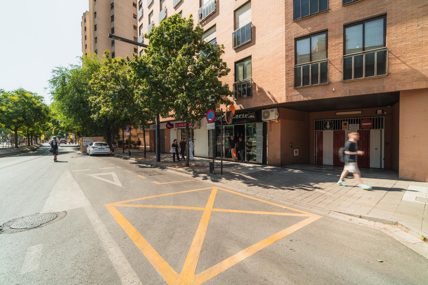 Constitucion Apartment - Free Parking Granada Exterior foto
